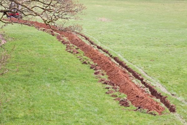 Cost of Swale Installation in Schenectady