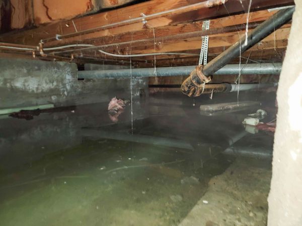 Cost of Crawlspace Drainage in Schenectady