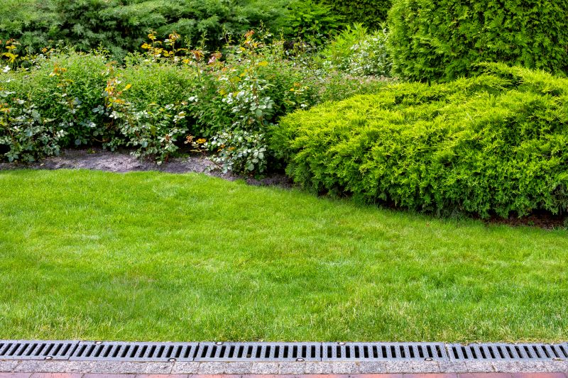 Landscape Drainage Maintenance